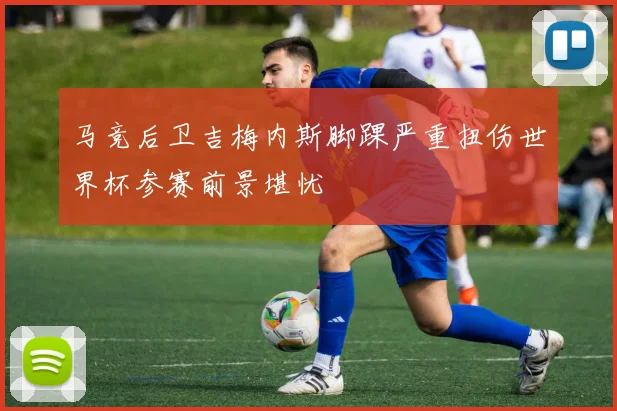 马竞后卫吉梅内斯脚踝严重扭伤世界杯参赛前景堪忧